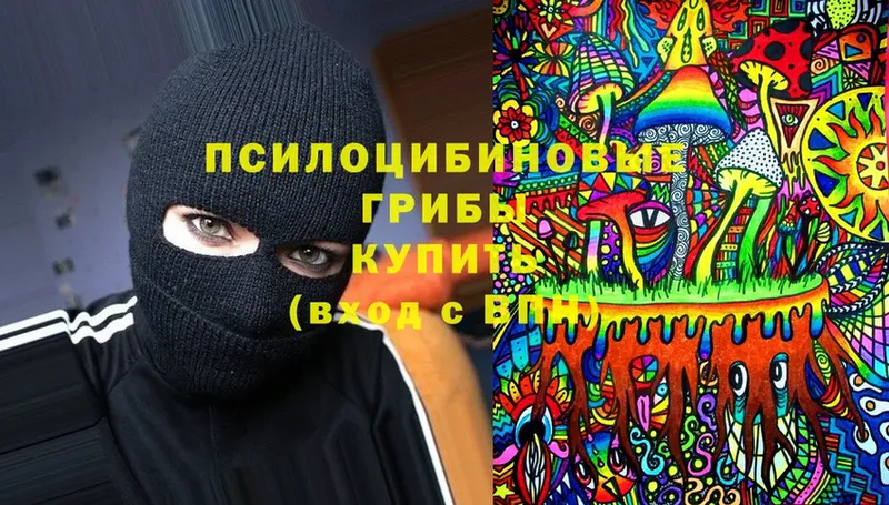 Галлюциногенные грибы MAGIC MUSHROOMS  Всеволожск 